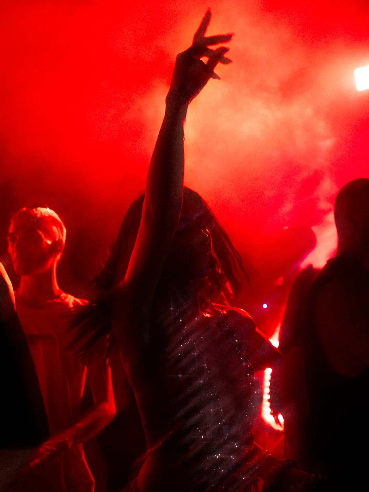 Mani alzate nella folla durante il Rainbow Music Festival